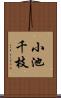 小池千枝 Scroll