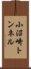 小沼崎トンネル Scroll