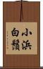小浜白鬚 Scroll