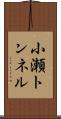 小瀬トンネル Scroll