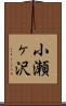 小瀬ヶ沢 Scroll