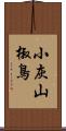 小灰山椒鳥 Scroll