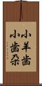 小羊歯 Scroll