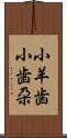 小羊歯 Scroll