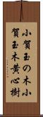 小賀玉の木 Scroll