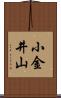 小金井山 Scroll