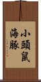 小頭鼠海豚 Scroll