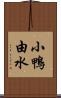 小鴨由水 Scroll