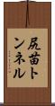 尻苗トンネル Scroll
