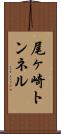 尾ヶ崎トンネル Scroll