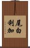 尾白利加 Scroll