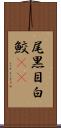 尾黒目白鮫(rK) Scroll