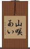 山咲あい Scroll
