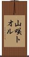 山咲トオル Scroll