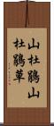 山杜鵑 Scroll