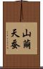 山繭 Scroll
