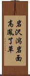 岩沢瀉 Scroll