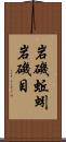岩磯蚯蚓 Scroll