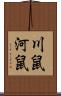 川鼠 Scroll