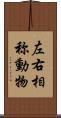 左右相称動物 Scroll