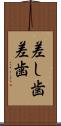 差し歯 Scroll