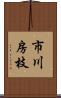 市川房枝 Scroll