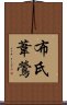 布氏葦鶯 Scroll