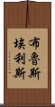 Bruce Ellis Scroll