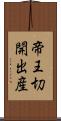 帝王切開出産 Scroll