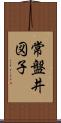 常盤井図子 Scroll