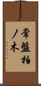 常盤柏ノ木 Scroll