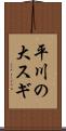 平川の大スギ Scroll