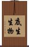底生生物 Scroll