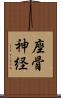 座骨神経 Scroll