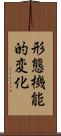 形態機能的変化 Scroll