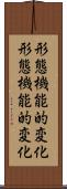 形態機能的変化 Scroll