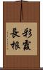 彩霞長根 Scroll