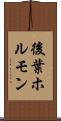 後葉ホルモン Scroll