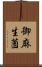 御麻生薗 Scroll