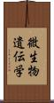微生物遺伝学 Scroll
