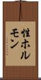 性ホルモン Scroll