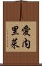 愛内里菜 Scroll