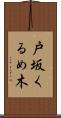 戸坂くるめ木 Scroll