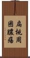 扁桃周囲膿瘍 Scroll
