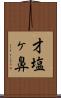 才塩ヶ鼻 Scroll