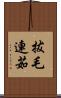 拔毛連茹 Scroll