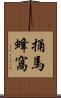 捅馬蜂窩 Scroll