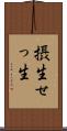 摂生 Scroll