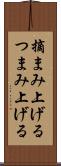 摘まみ上げる Scroll