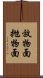 放物面 Scroll